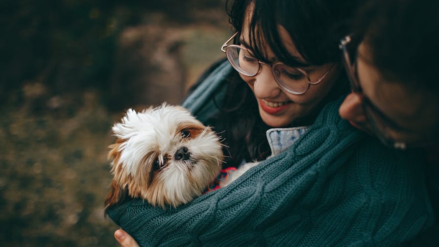 Devenir pet-sitter professionnel : guide complet